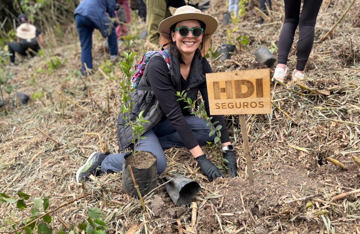 Una apuesta a la biodiversidad: más de 500 árboles fueron sembrados en jornada ambiental en Cundinamarca