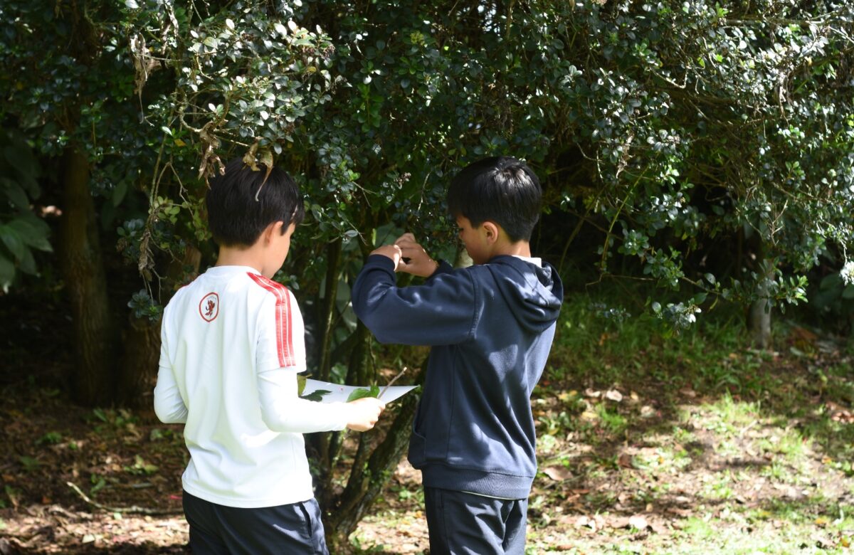 Colegio bogotano convierte su humedal en aula viva