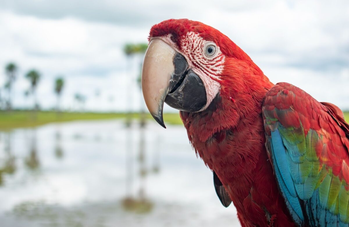 Destinos competitivos que impulsan el turismo de los más de 21,7 millones de viajeros en Colombia