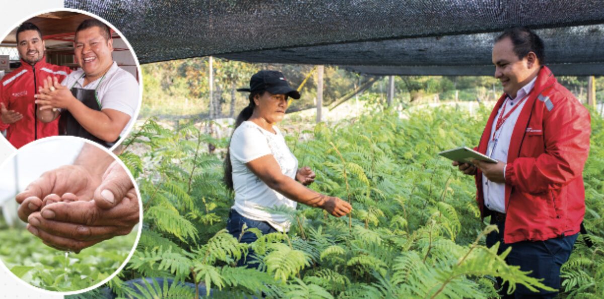 La importancia de estar protegidos frente a eventos climáticos: los seguros paramétricos ayudan a recuperarse ante los excesos de lluvias
