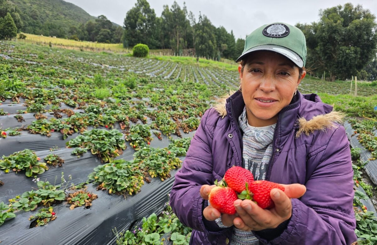 Mujeres rurales: liderazgo que transforma los sistemas agroalimentarios en Bogotá-Cundinamarca