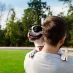 advercopys pet friendly