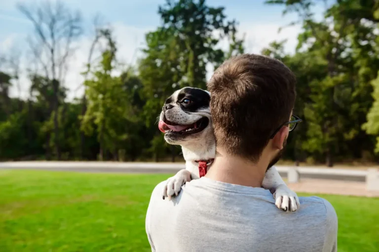 advercopys pet friendly
